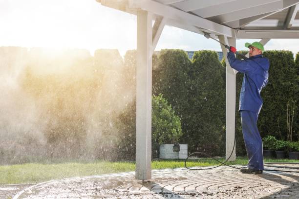 Best Solar Panel Cleaning  in Fort Davis, TX