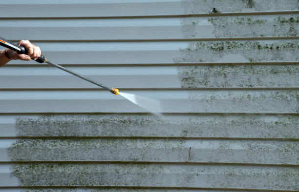 Best Dumpster Area Cleaning  in Fort Davis, TX